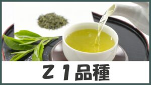 人を選ぶ！？強い個性が特徴！渋味が大好きな方にオススメする幻のお茶｢Ｚ１｣