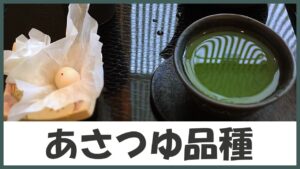 宇治生まれの高級茶！上品な味わいで”天然玉露”と称される｢あさつゆ品種｣