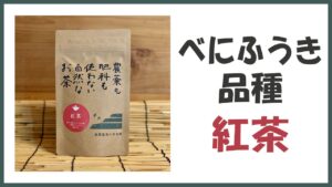 無農薬･自然栽培のべにふうき品種から出来た｢紅茶｣