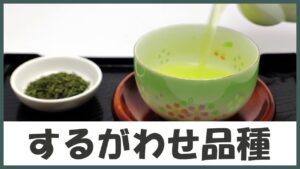 甘～い香りに、強い渋味！静岡が生んだクセのあるお茶｢するが早生品種｣