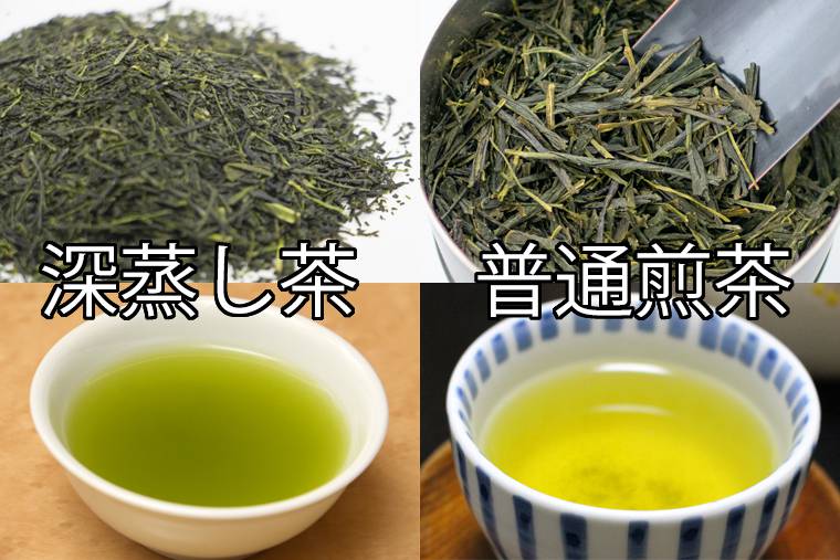 深蒸し茶・普通煎茶の違い